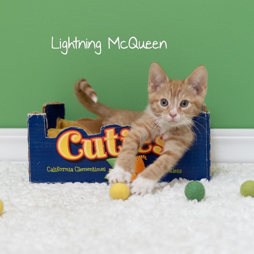 Lightning McQueen