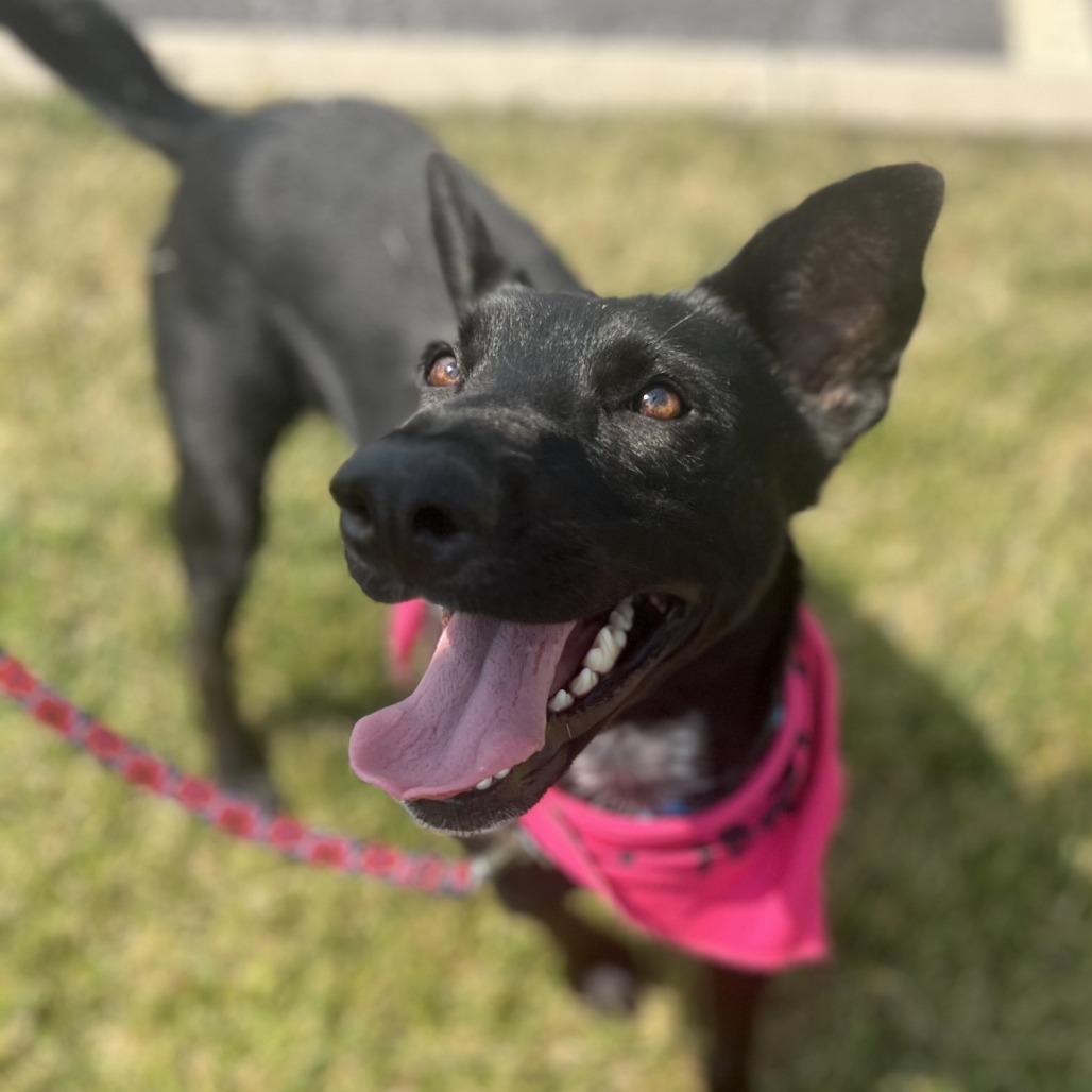 Mia