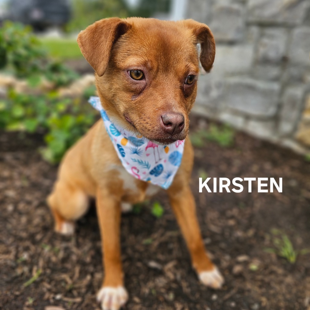 Kirsten