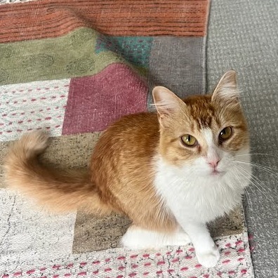 Tammy