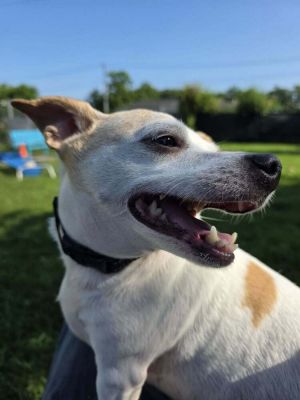 Angel, Senior Female unknown