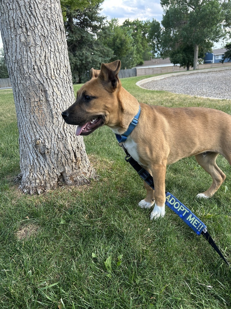 Max