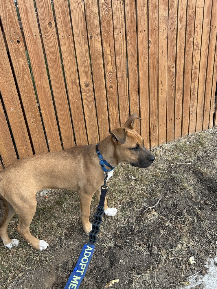 Max