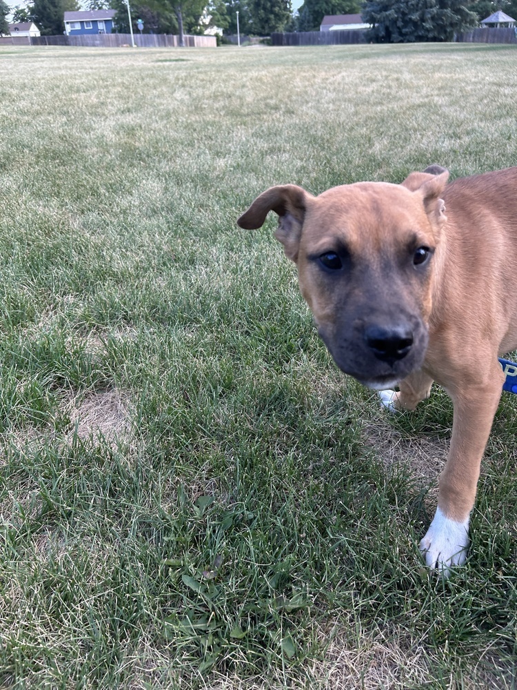 Max