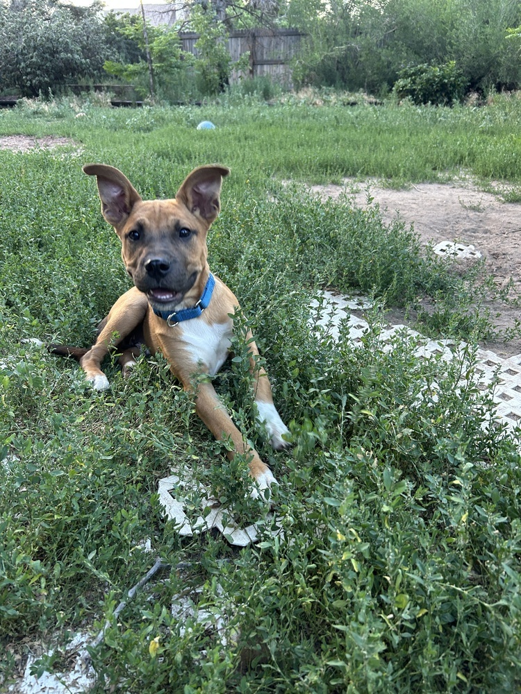 Max