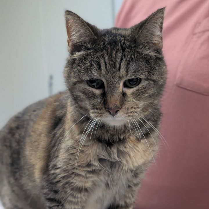 Molly 2