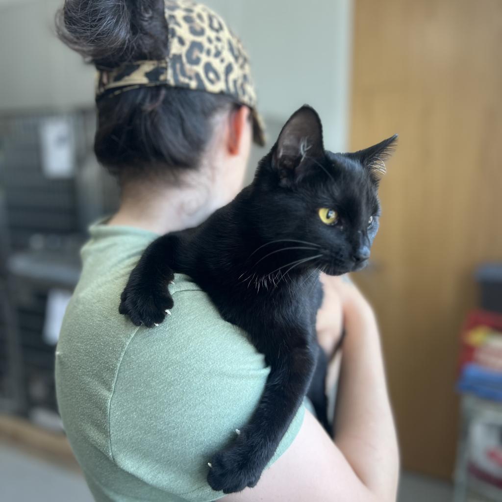 Luna
