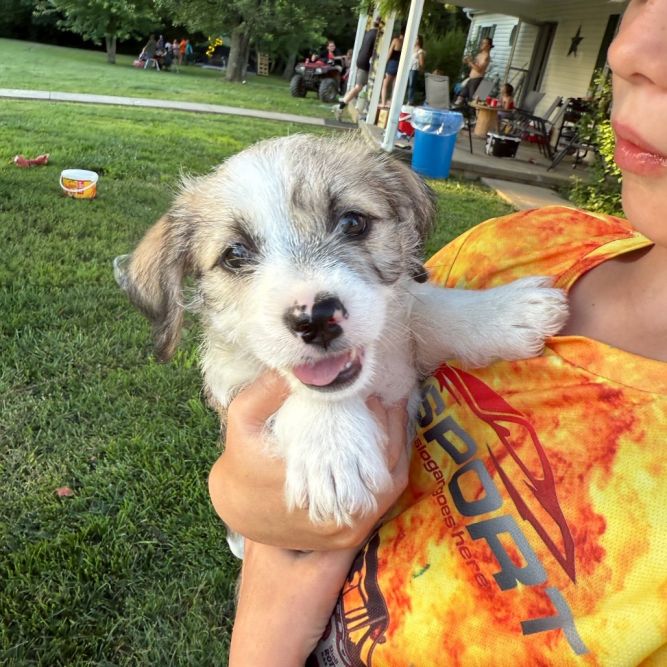 Lucy