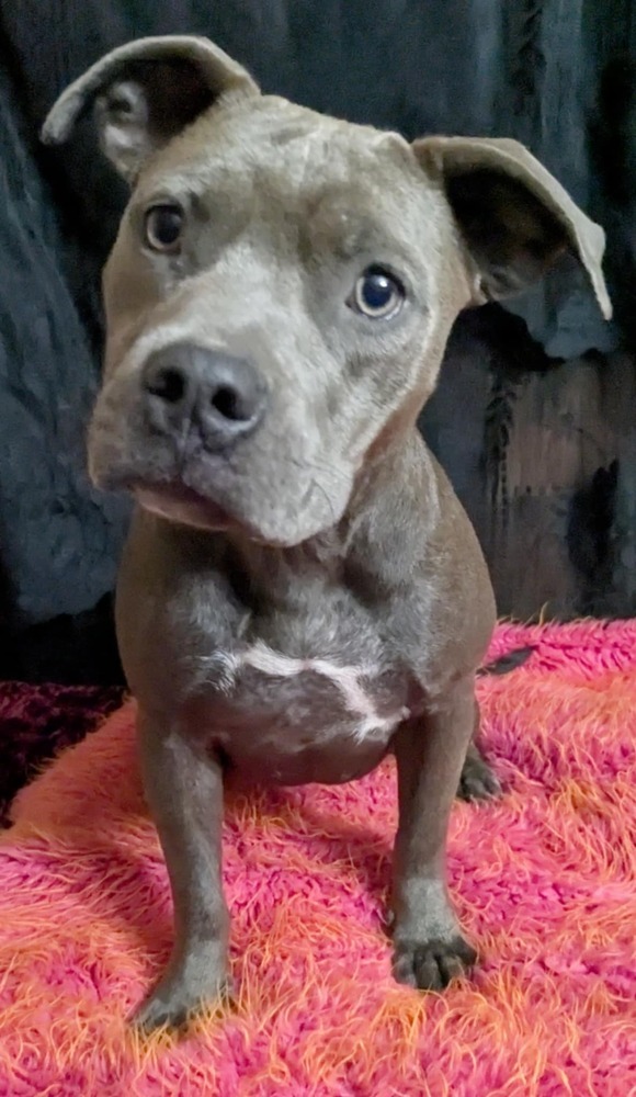 Willow the Warmhearted