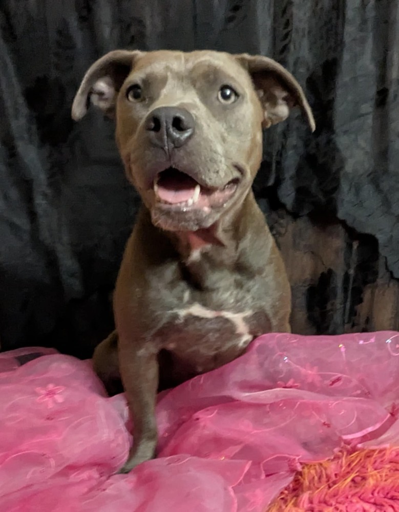 Willow the Warmhearted