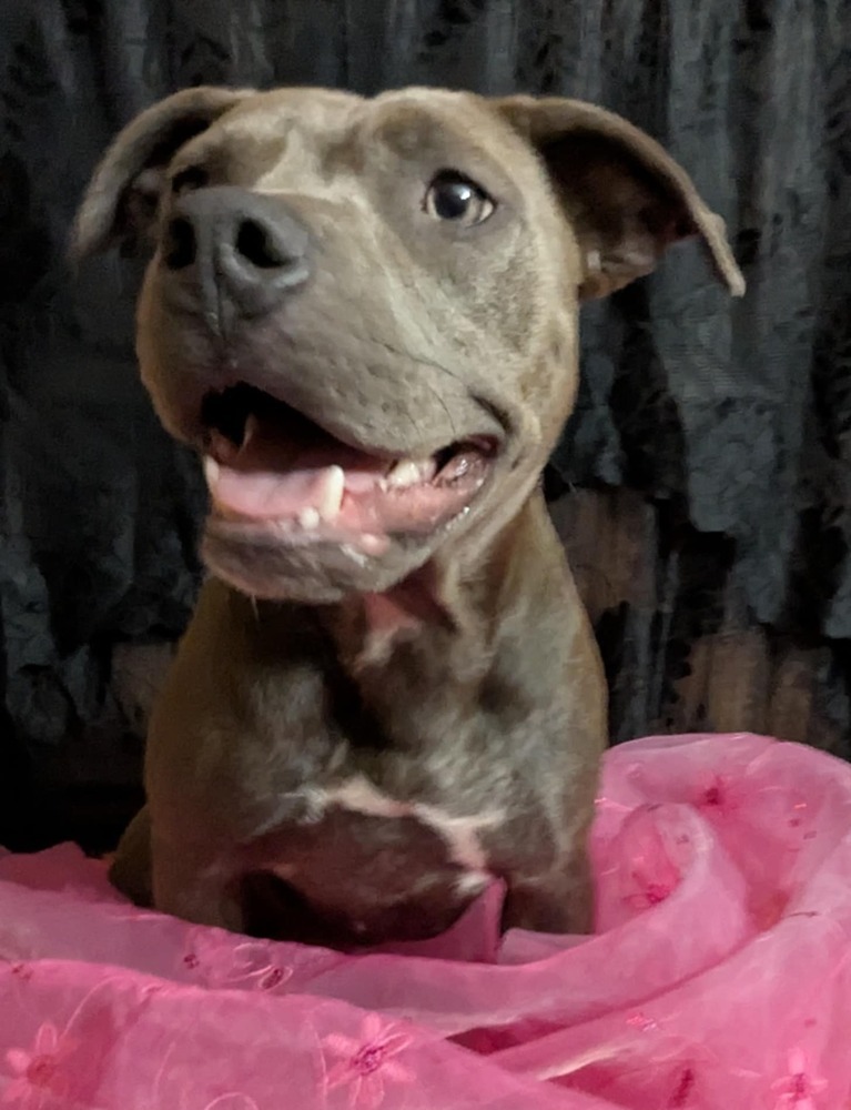 Willow the Warmhearted
