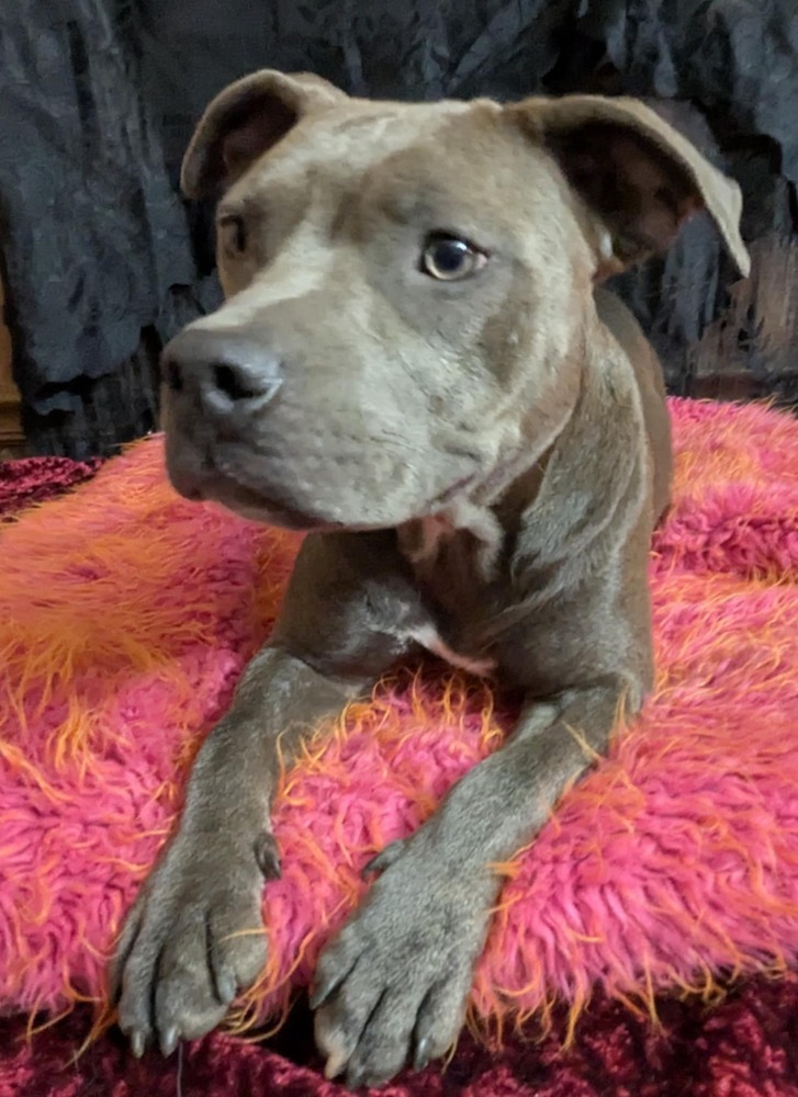 Willow the Warmhearted
