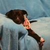 Tiny photo 5