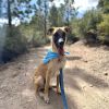 Cody photo 1