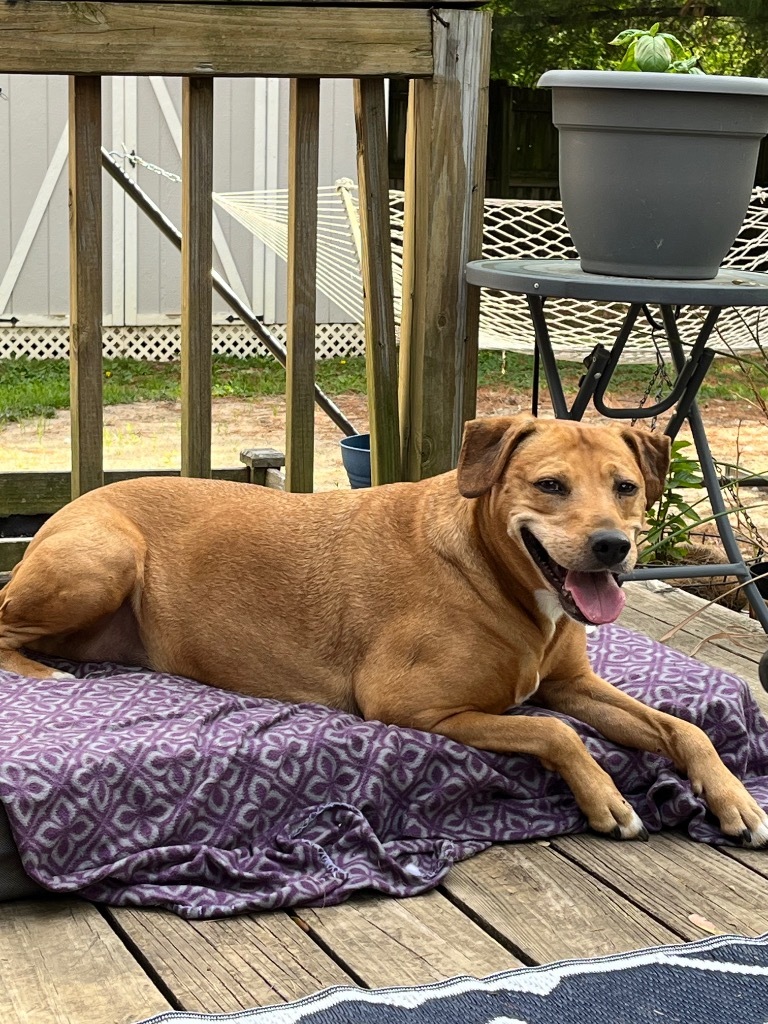 Lucy