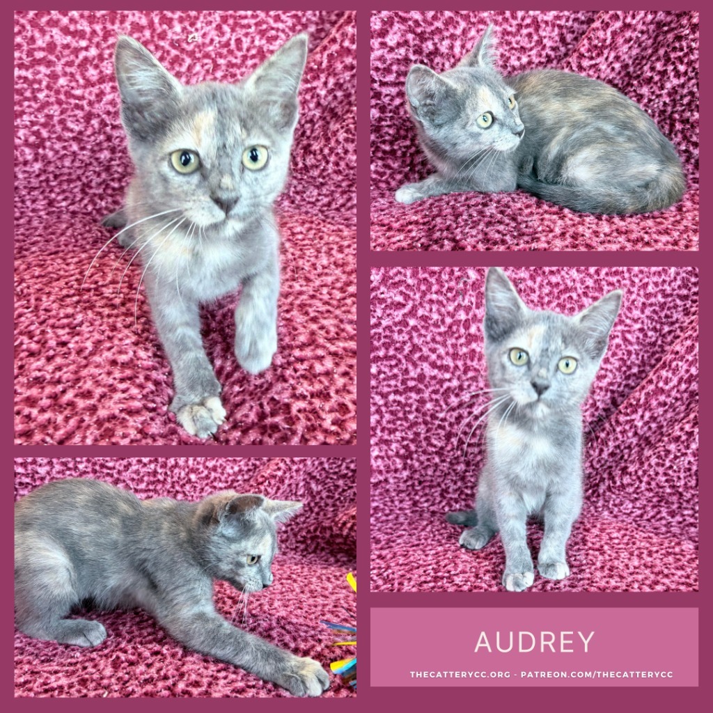 Audrey