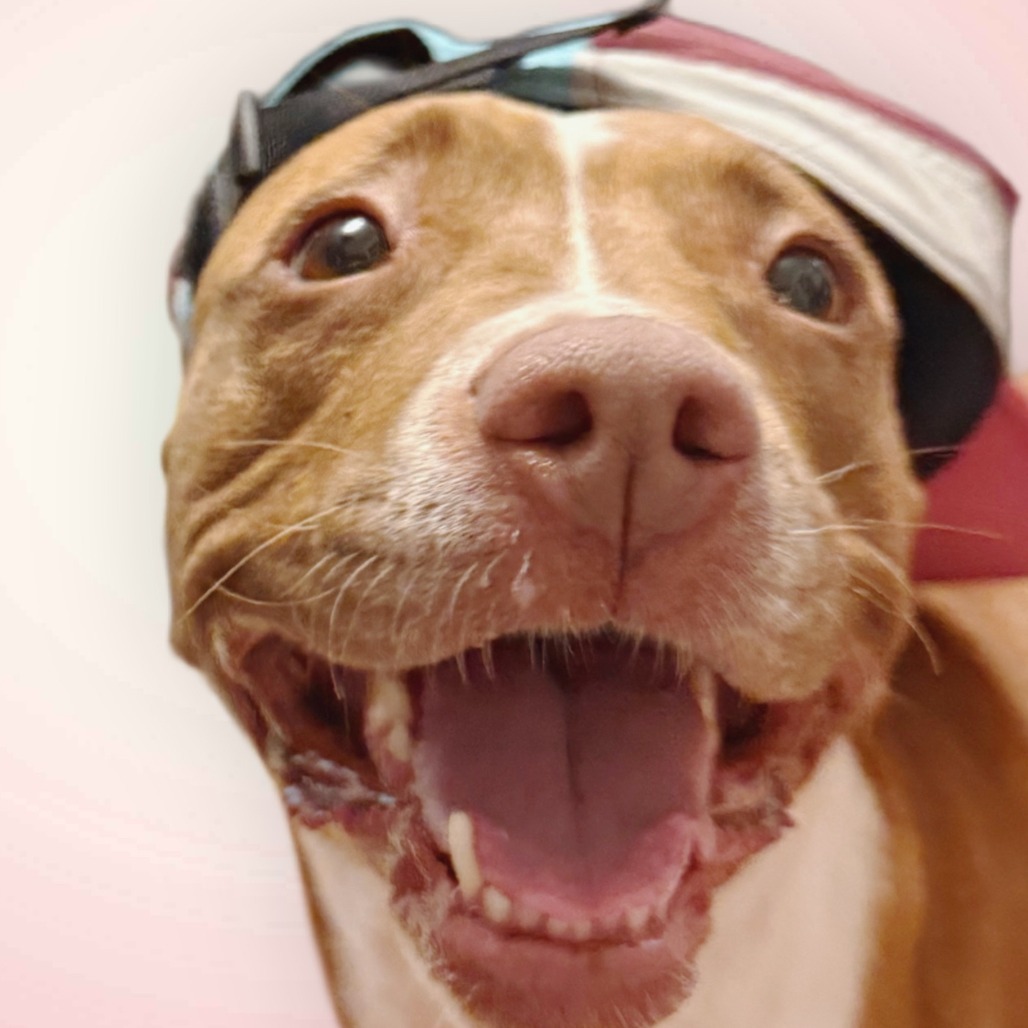 Nova