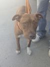 Esther photo 4