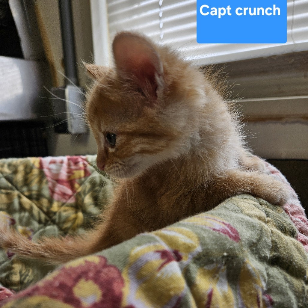 Capt Crunch