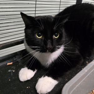 Buster spent his whole life with only one person who unfortunately had to go to a nursing home New 