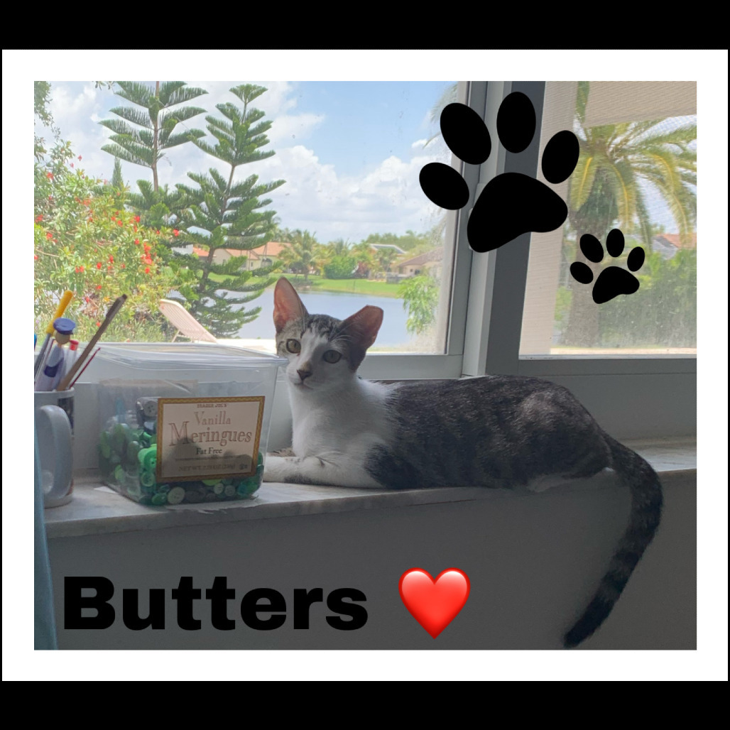 Butters Abner