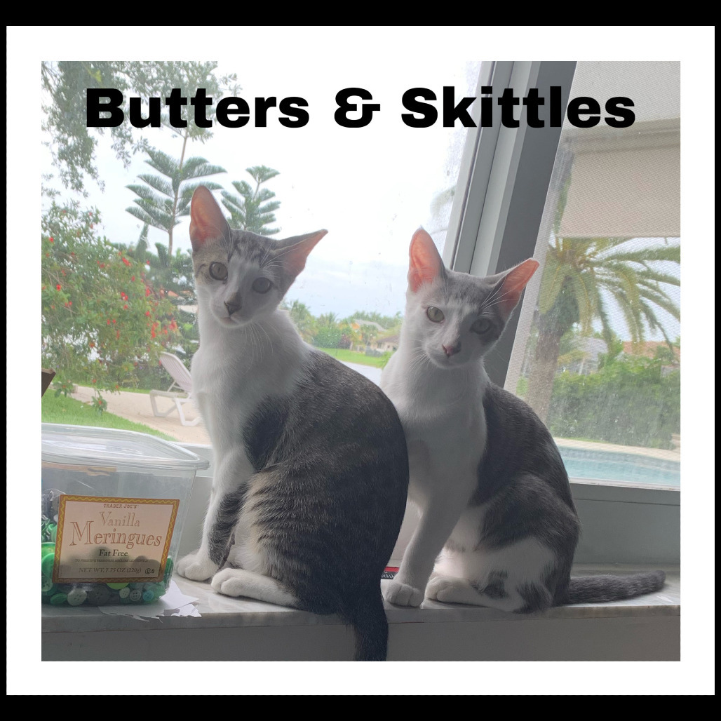 Butters Abner