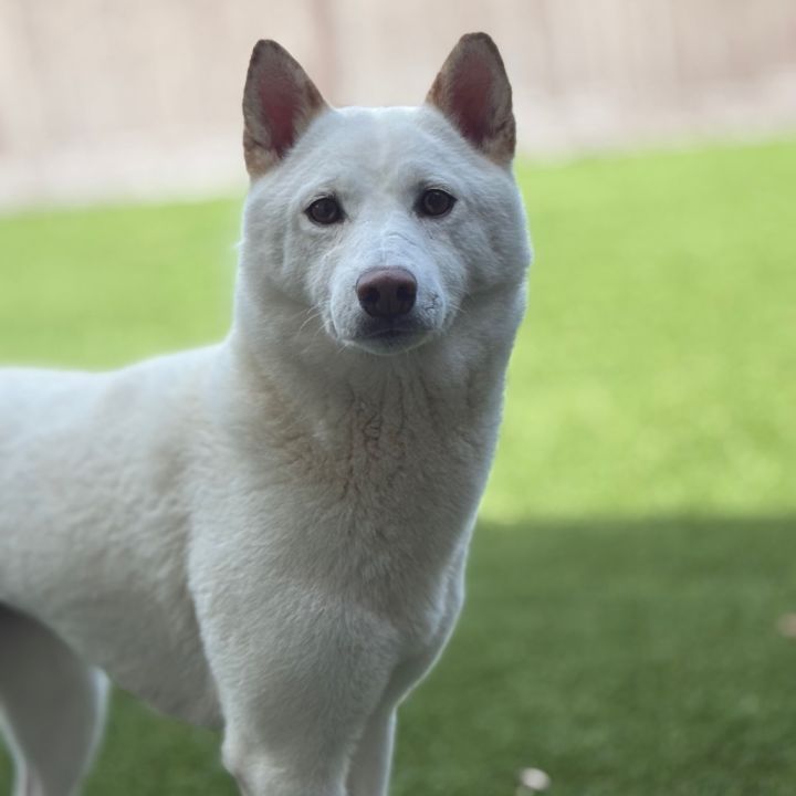 Sasha 1318 1