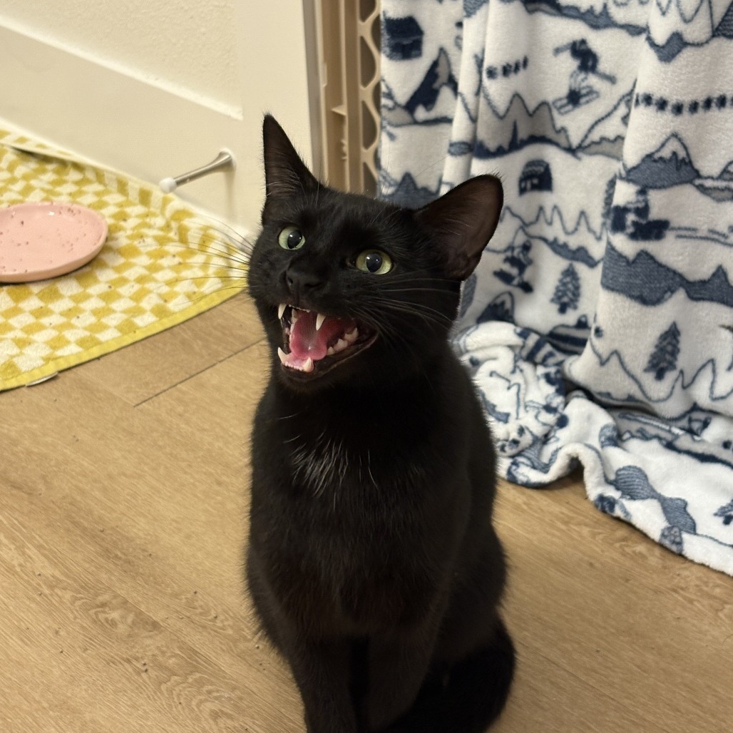 Ben