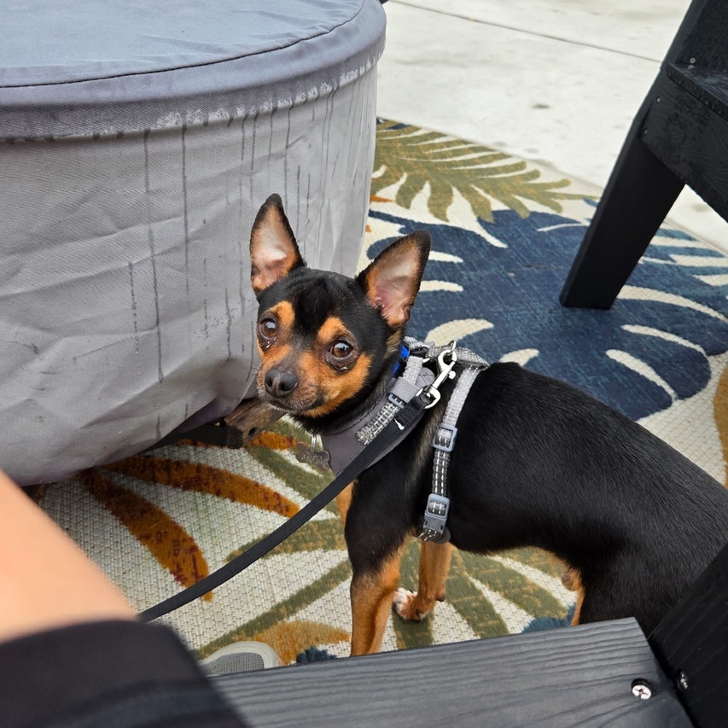 Archie