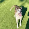Bella photo 3