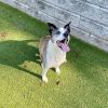 Bella photo 4