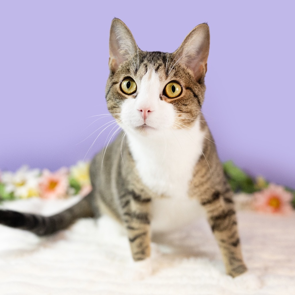 Mimi