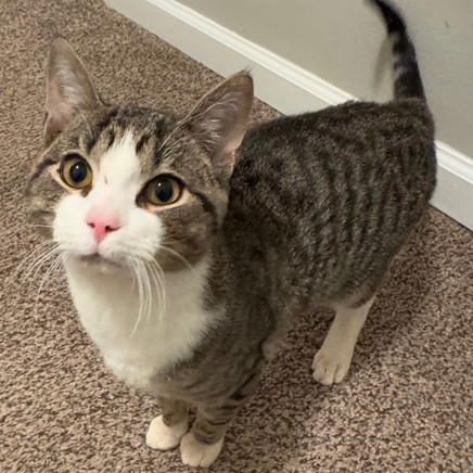 Mimi