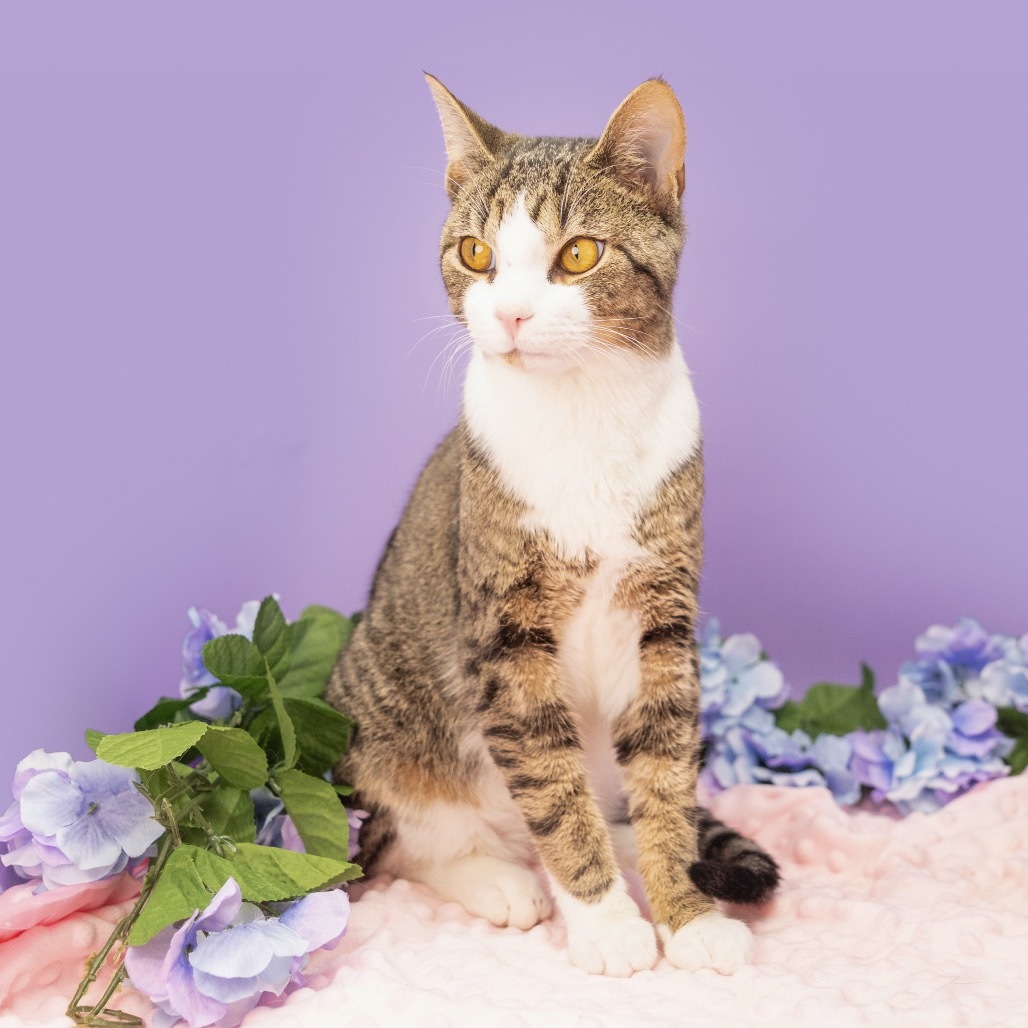 Mimi