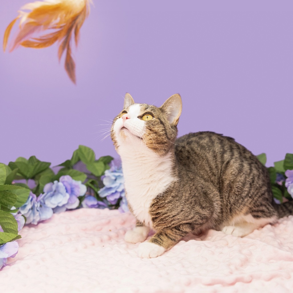 Mimi