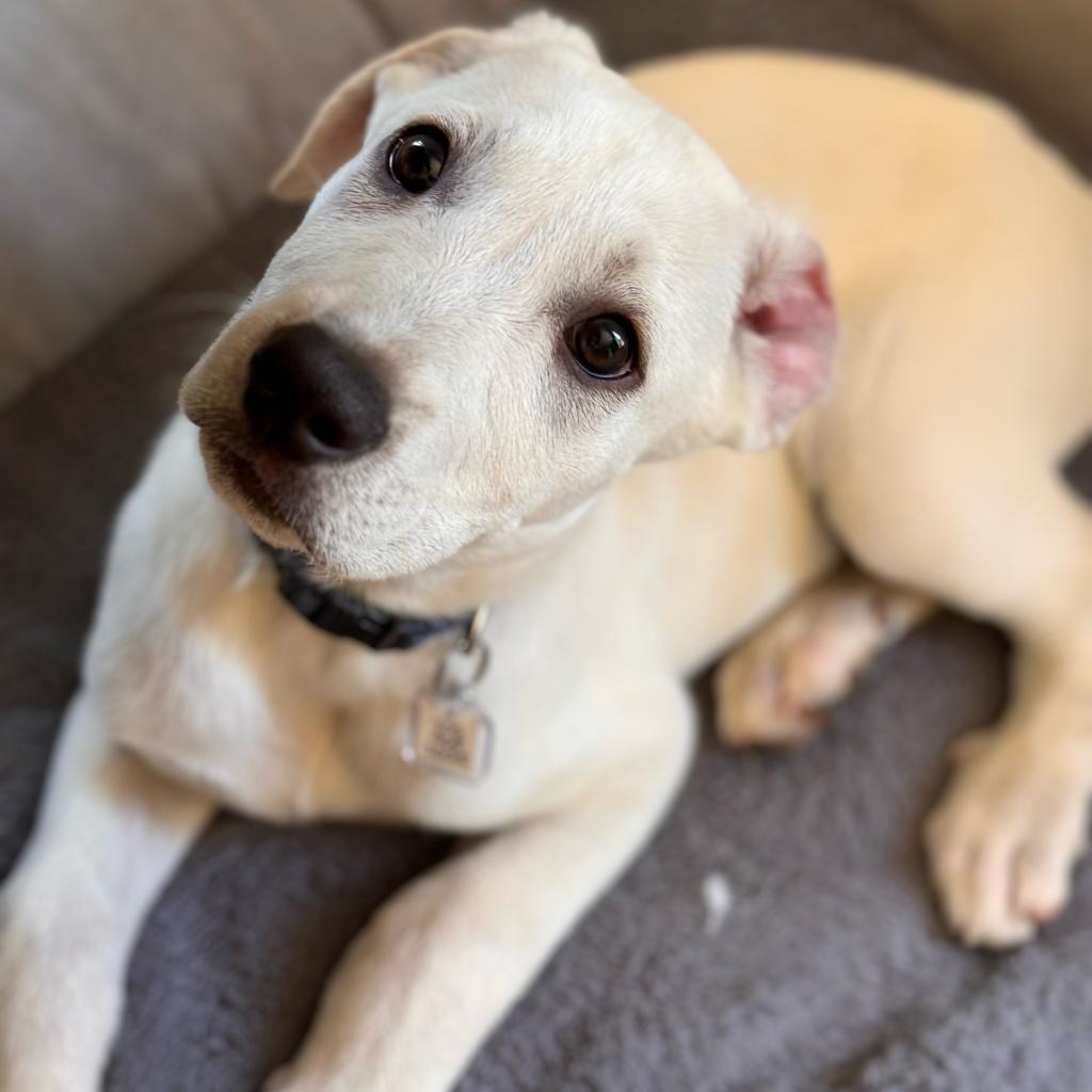 Murphy