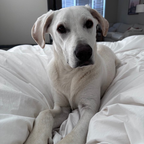Murphy