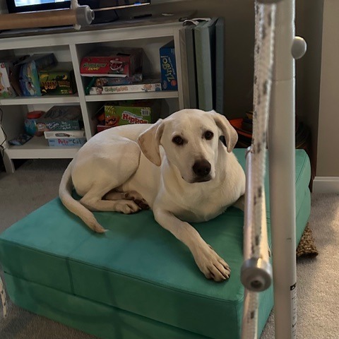 Murphy