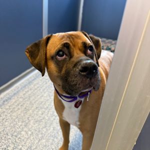 Photo of Zeus