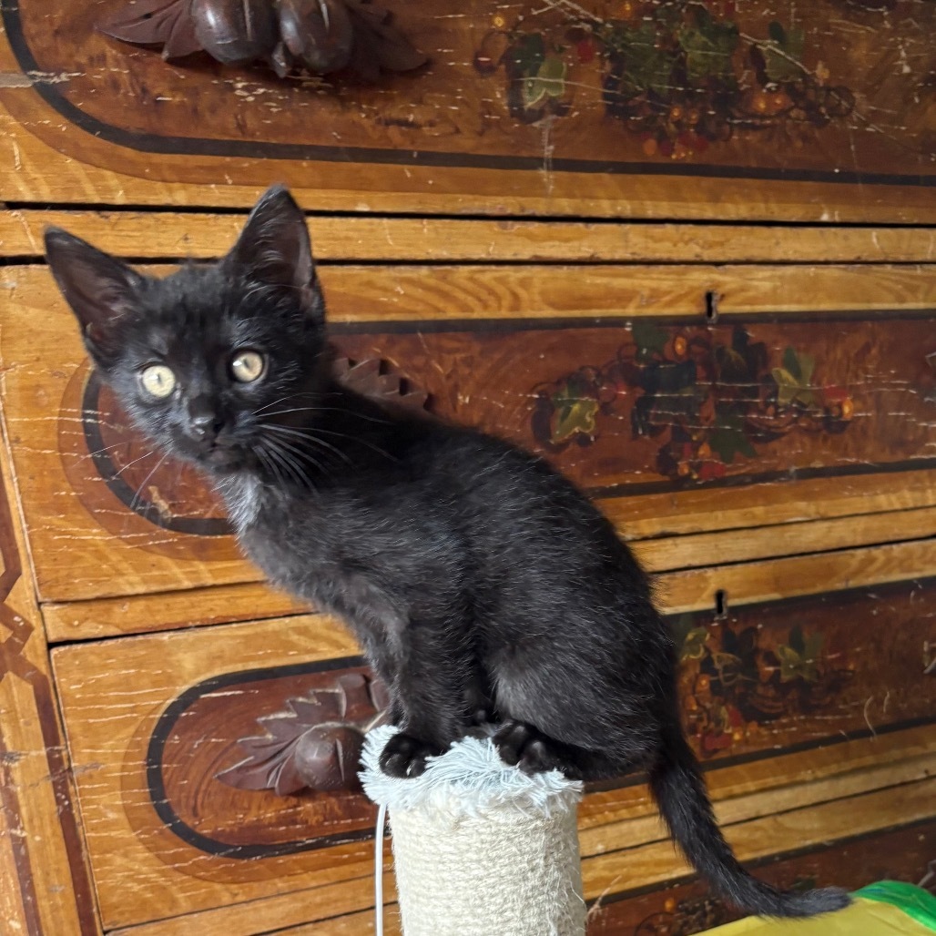 Luna