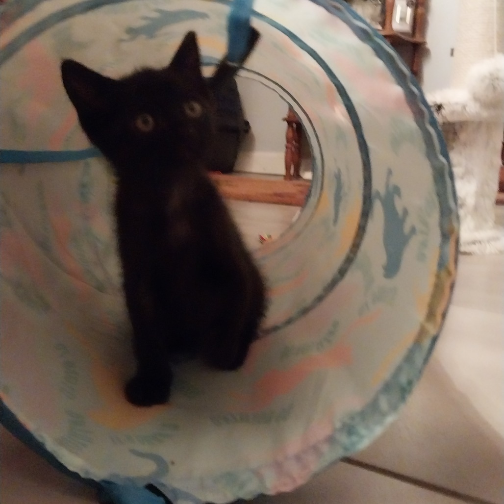 Luna