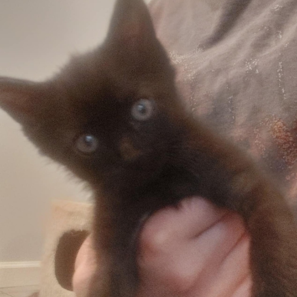 Luna