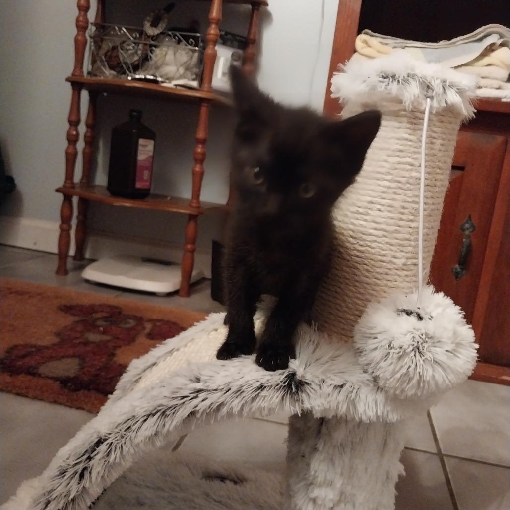 Soren