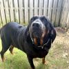 Big Momma Margot photo 5