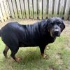 Big Momma Margot photo 6
