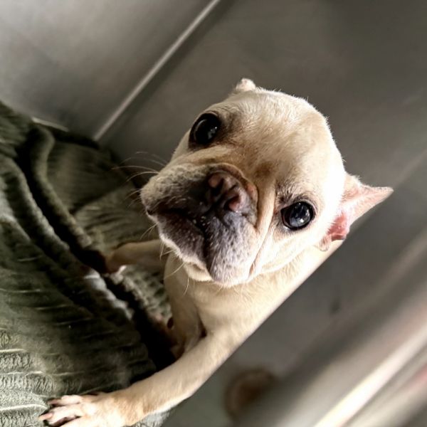 Yuma thumbnail 2