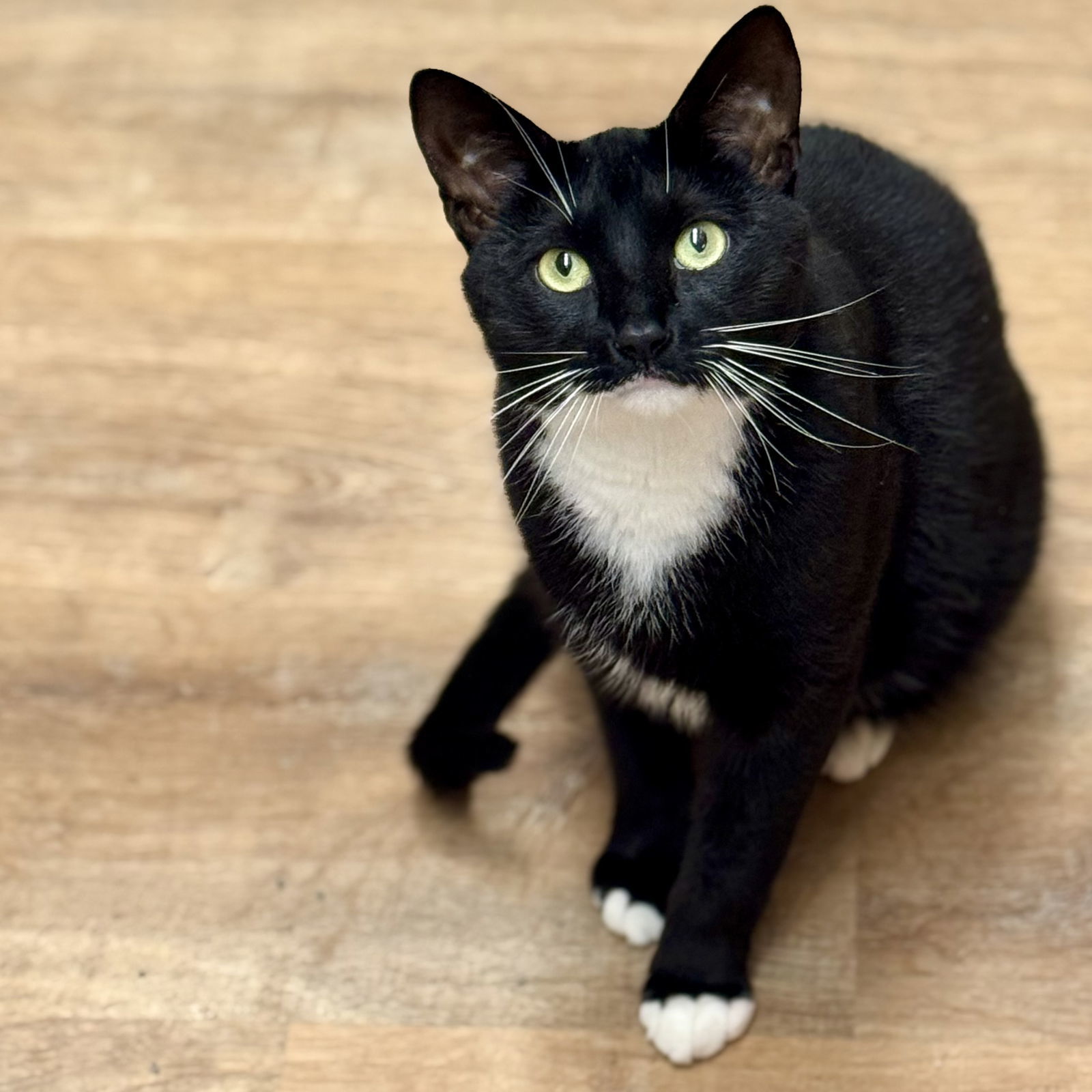 Tux