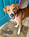 Bonnie photo 1