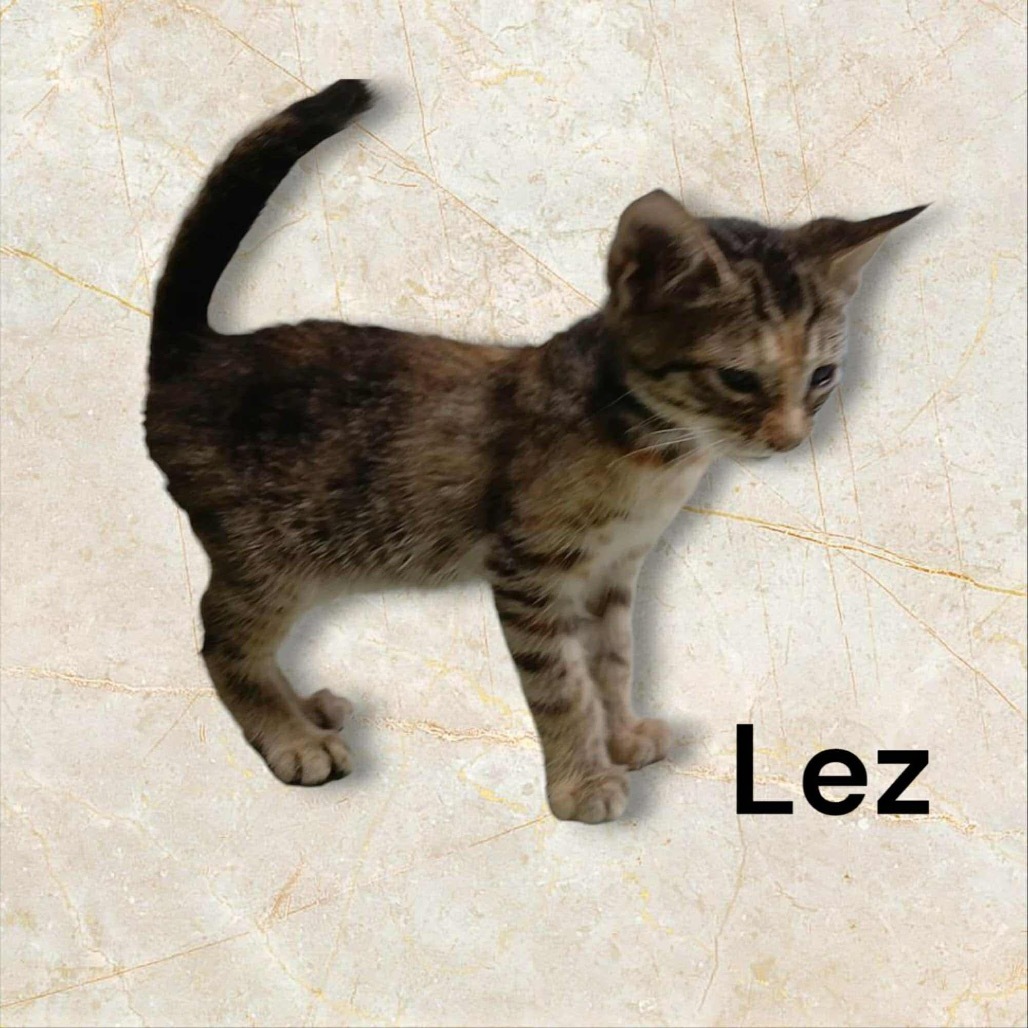 Lez