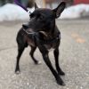 Skeeter photo 6